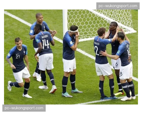 法国足协启动青少年教练培训模块更新，加入数据辅助决策基础课程