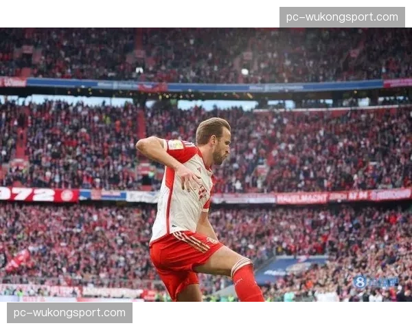 专访凯恩:回顾德甲处子赛季,并谈及对欧洲杯的期待 专访凯恩:回顾德甲处子赛季,并谈及对欧洲杯的期待